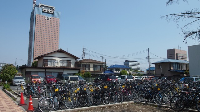 Nipponおもてなし専門学校 猫爺放談 ねこじじほうだん